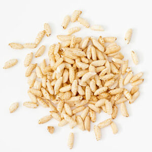 puffed rice
