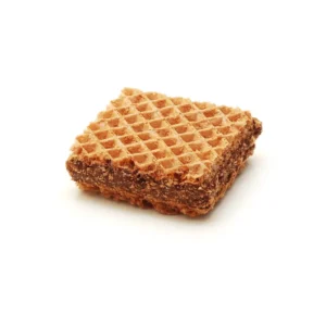wafer
